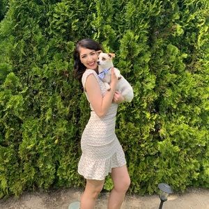 Target wild fable dress